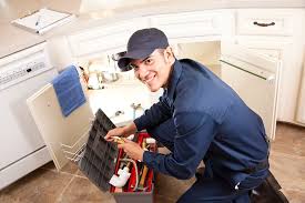 Best Leak Detection and Repair  in Pine City, MN